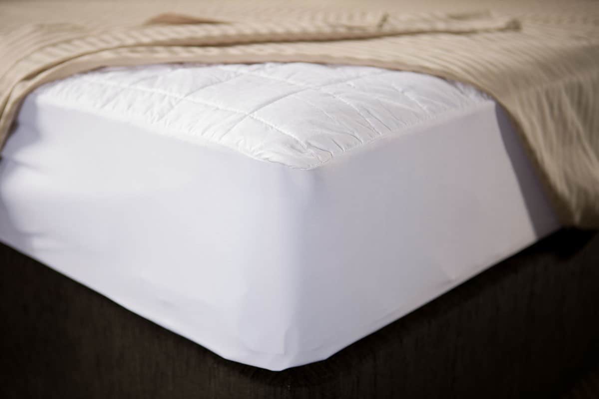 mattress protector makin mattresses mattress protector makin mattresses